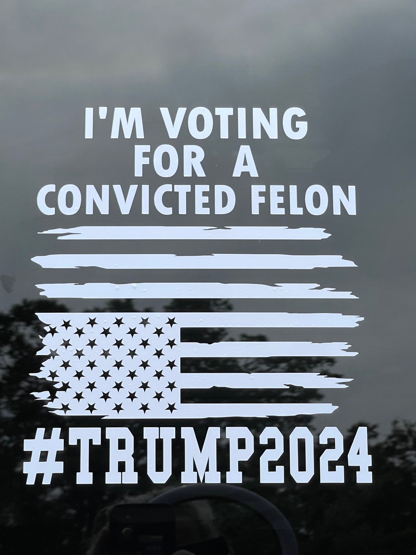 I’M VOTING FOR A CONVICTED FELON